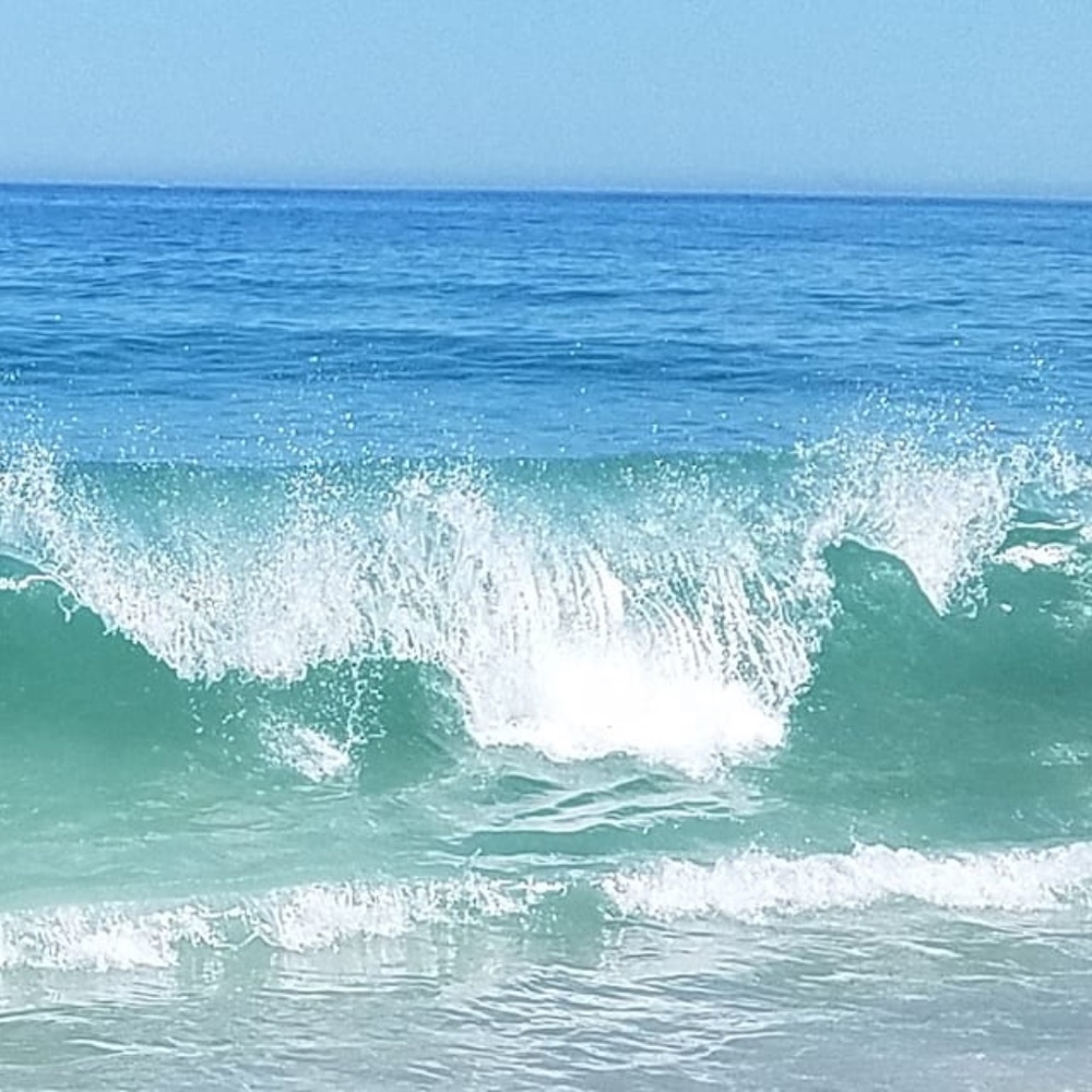 Meet your Posher, Betsy